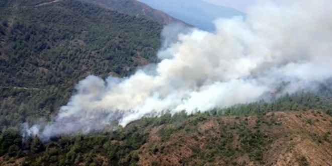 Bakan Pakdemirli: Muğla'daki yangın kontrol altında, mücadele sürüyor