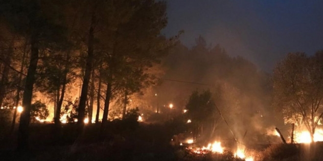 OGM'den Muğla'daki yangına ilişkin iddialara yanıt