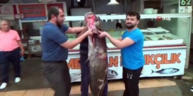 Ağırlığı 100 kilo, boyu 2 metre