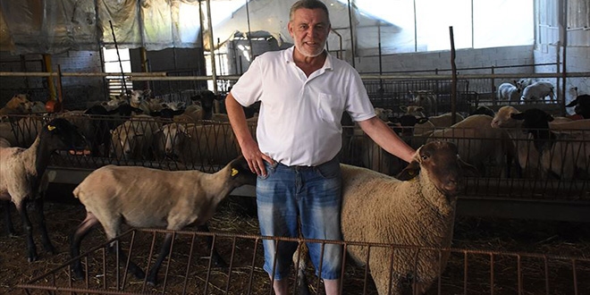 Müteahhitliği bırakıp doğal yaşam için köye döndü