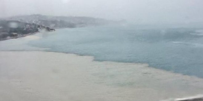 Dzce'de yaanan sel sonras deniz iki renk oldu