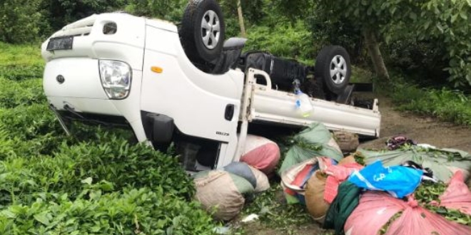 Rize'de trafik kazası: 8 yaralı