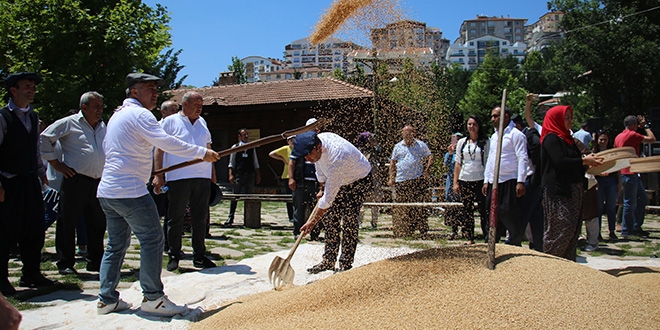 Köy hayatı Başkent'in göbeğine taşındı