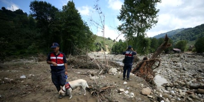 'Devletin b�t�n imkanlar� D�zce i�in seferber edildi'