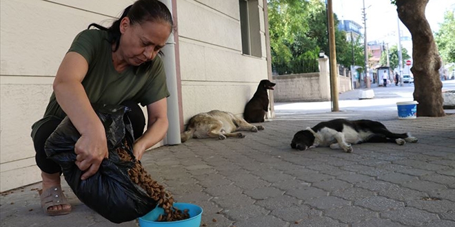 Emekli maaşını sokak köpekleri için de harcıyor