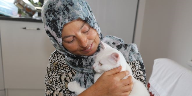 Felçli kedi, Hülya öğretmen sayesinde hayata tutundu