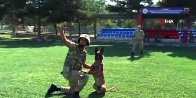 JAKEM'in köpekleri şınav çekiyor, komando dansı yapıyor