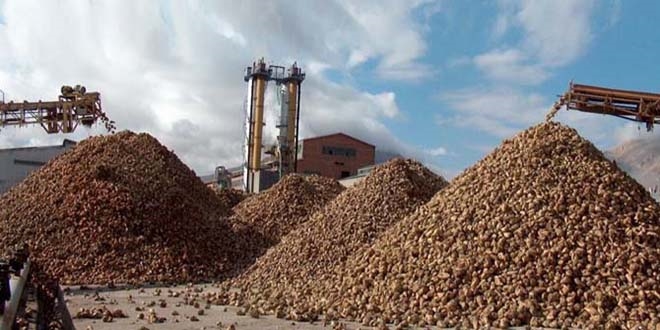 Muş'ta 550 çiftçinin 3,5 milyon liralık borcu silindi