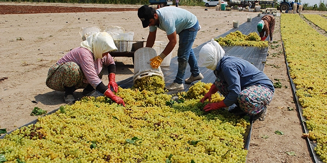 zm iilerinin bekledii fiyatlar akland