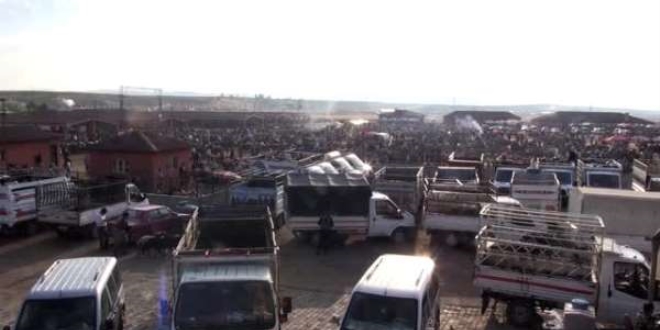 Do�u'da kurban pazarlar�nda hareketlilik