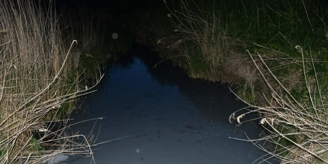 Tekirda�'daki Karaa�a� Deresi renk de�i�tirdi