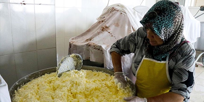 Gelin gittiği köyde süt işletmesi kurdu