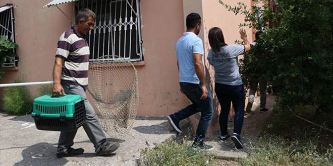 Kediyi yakalamak iin mama datld