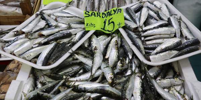 Sardalyann kilosu 15 liraya dt