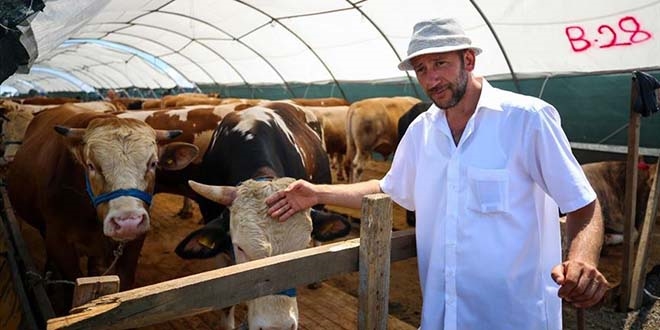 Hayvan pazarlarında kurban hareketliliği