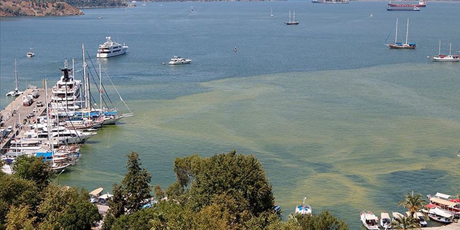 K�rfez'deki renk de�i�iminin nedeni at�k su tesisi