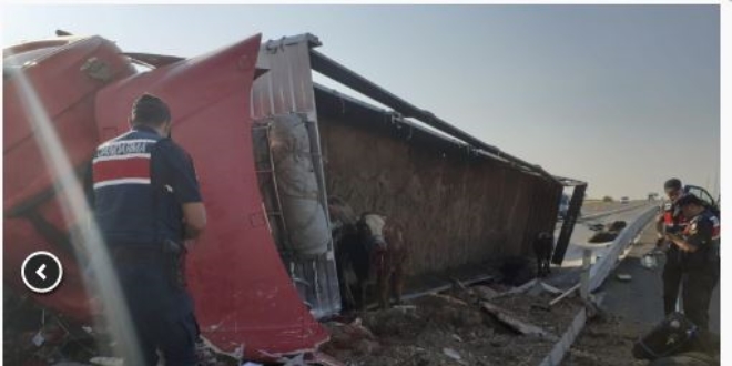 Aksaray'da hayvan y�kl� t�r devrildi: 2 yaral�