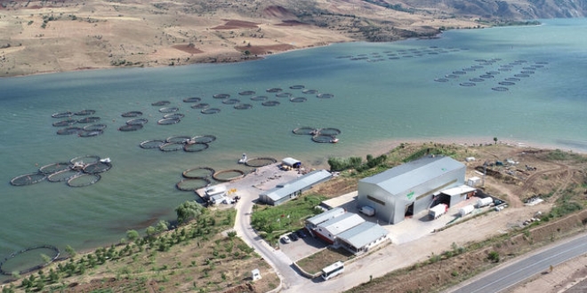 Sivas'tan Rusya'ya alabalık ihracatı