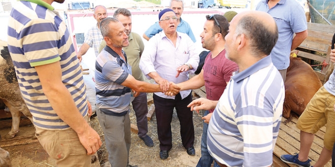 Kurban satışlarında sıkı pazarlık