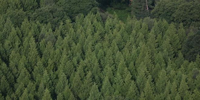 BM'den iklim de�i�ikli�iyle ilgili uyar�