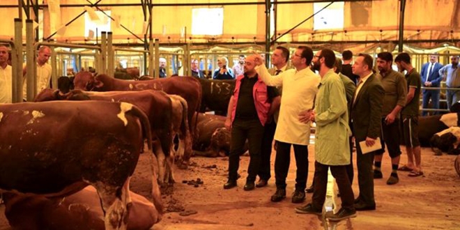 İmamoğlu'ndan 'sokakta kurban kesmeyin' uyarısı