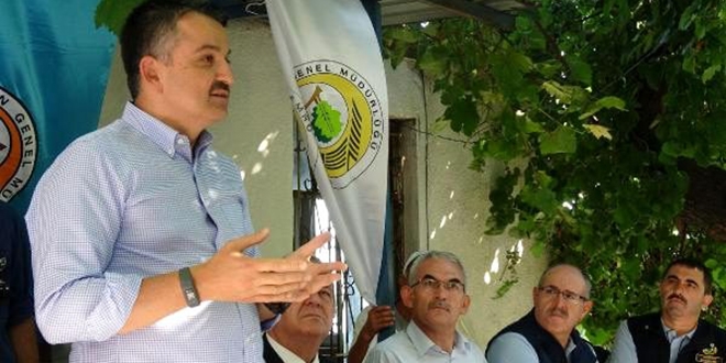 Bakan Pakdemirli'den 'mevzuata takılmayın, sorun çözün' talimatı