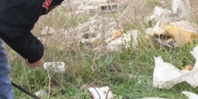 Narkotik köpeği 'Coco' hediye kutusundaki uyuşturucuyu buldu