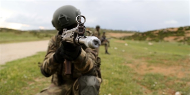 Hakkari'de 2 PKK'lı terörist teslim oldu