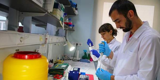 Türk bilim insanları 4 ölümcül virüs buldu