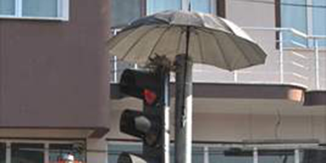 Trafik ���klar�na yuva yapan kumruya �emsiyeli koruma