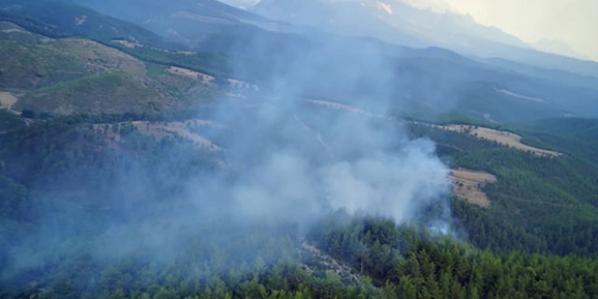 Bursa'dan sonra iki ilde daha orman yangını çıktı