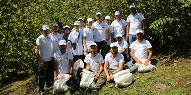 Sigortalı fındık işçileri hasada başladı