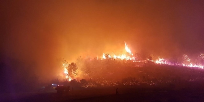 Antalya'da orman yang�n�