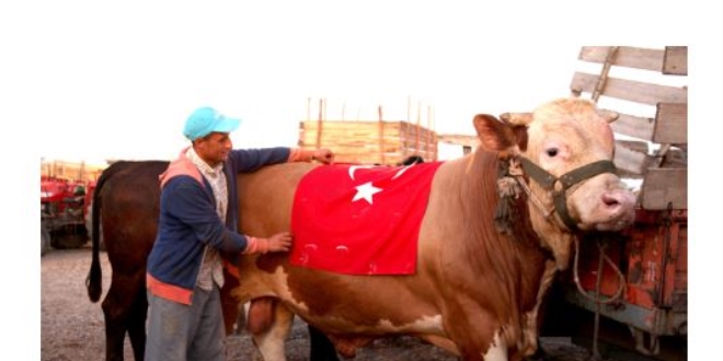 1.5 tonluk S-400 17 bin 250 TL'ye sat�ld�