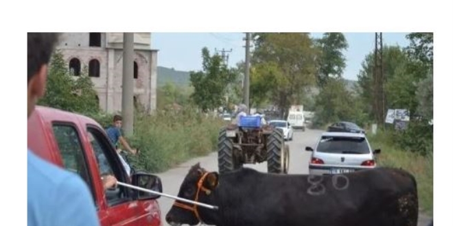 Sokakta kurban kesene para cezası verilecek