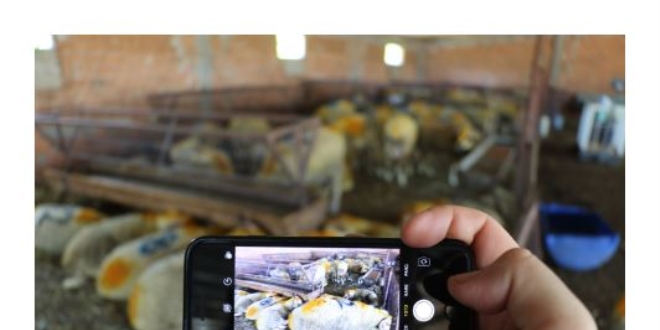 Cep telefonuyla mobil kurban sat��� ilgi g�r�yor