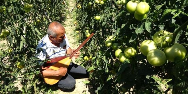 Verimin artması için bahçesinde ve kümesinde saz çalıyor