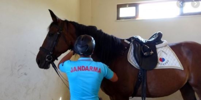 Kandıra sahillerinde atlı jandarma ekipleri görev yapıyor