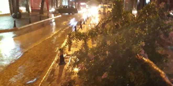 15 dakikalk ya ve frtna hayat fel etti