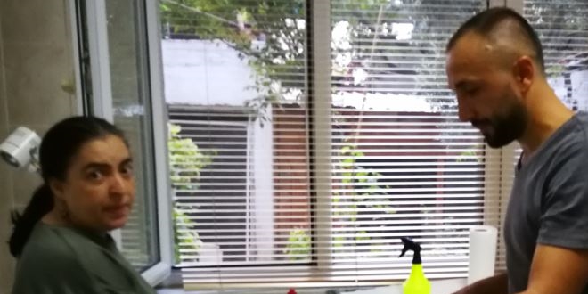 Hamile kediyi öldüren köpeğin sahibine 7 bin lira ceza