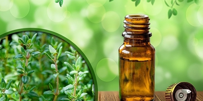 Kekik yağı, antibiyotik kullanımını azaltacak