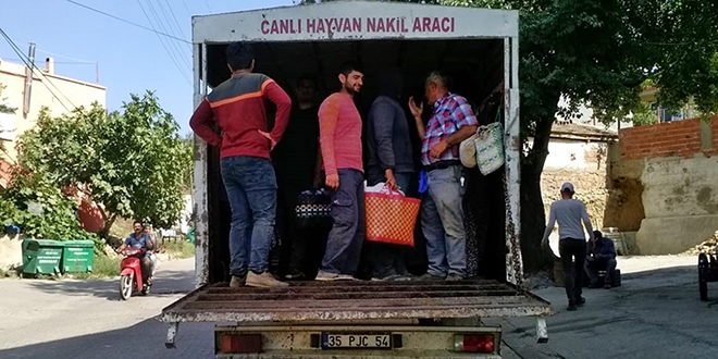 Kamyonet kasasında 23 işçi taşıyan sürücüye ceza