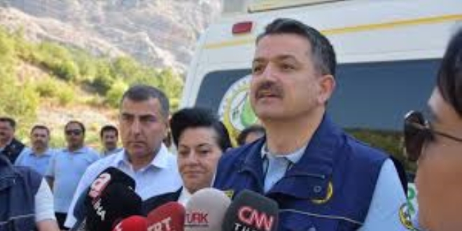 'Orman yangınlarıyla mücadelede bu sene daha başarılıyız'