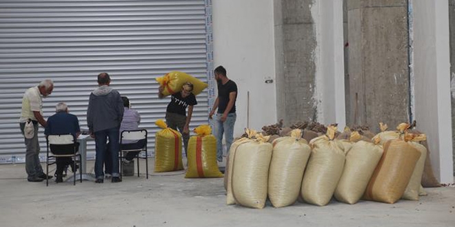 TMO Giresun'da fndk almna balad