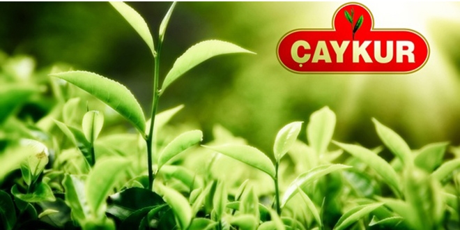 ÇAYKUR satışlarını yüzde 27 artırdı