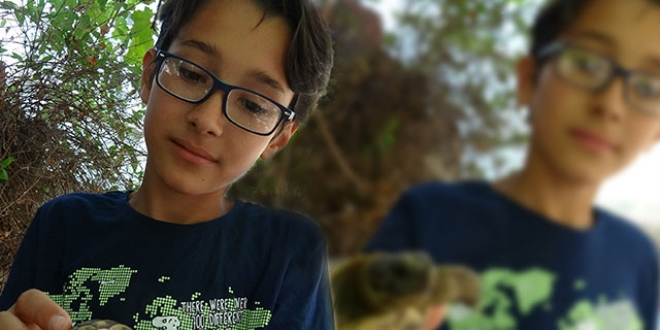 Hayvan sevgisiyle bir g�nde fenomen oldu