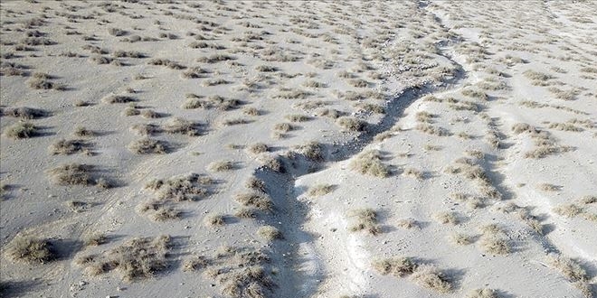 Bilinçsiz sulama ve ilaçlama Iğdır'ı kuraklaştırıyor