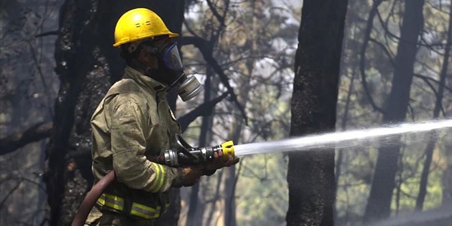 Ormanlar�n fedakar kahramanlar�