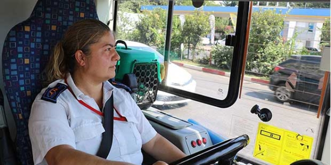 Engelli kedileriyle otobüs şoförlüğü yapıyor