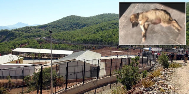 Tunceli'de bar�nak �al��anlar�na soru�turma